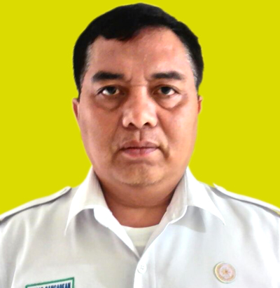 Ir. Manat Panggabean